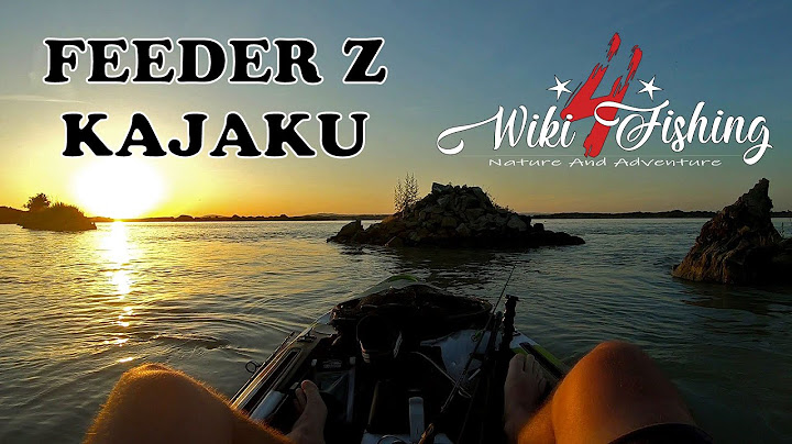 Feeder z kajaku na hlavnom toku Dunaja