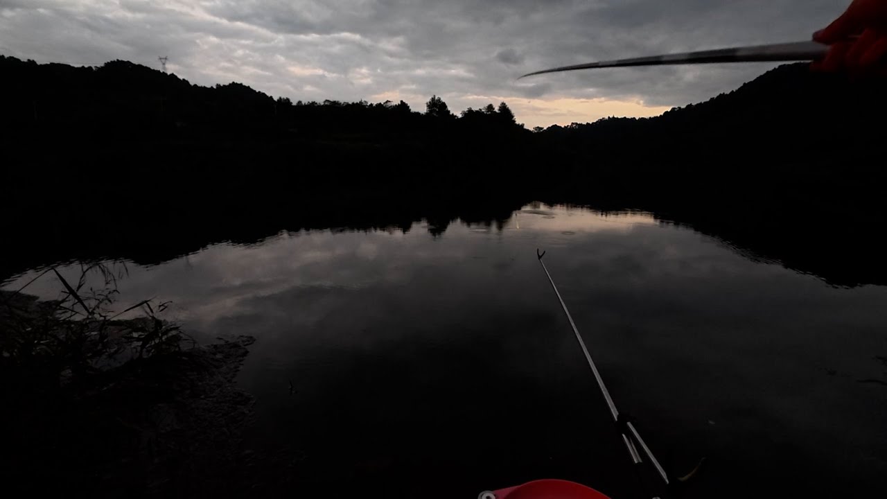 鲫鱼去哪儿了？| 中秋露营野钓