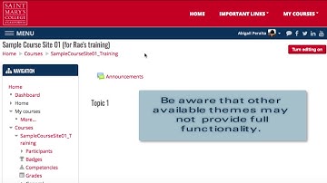 Moodle 3.2 - How to change the course site theme
