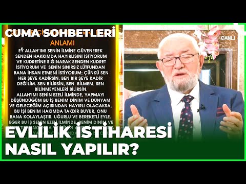 Video: Kıdemli Sığınak Köpek Muhteşem Bir Makyaj Aldı ve Biz Sadece Bile