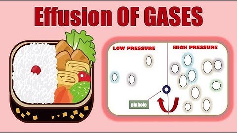 EFFUSION OF GASES|EFFUSION ANIMATION | EXAMPLES OF EFFUSION |CHEMISTRY| BIOLOGY -YOUTUBE