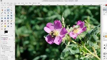 [3D Buzz][GIMP - An Introduction] 004. Selection tools