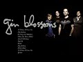 Gin blossoms best songs playlist gin blossoms greatest hits new album