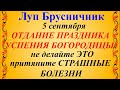 5 сентября Луп Брусничник. Отдание Праздника Успения Богородицы.Что нельзя делать.Традиции и приметы