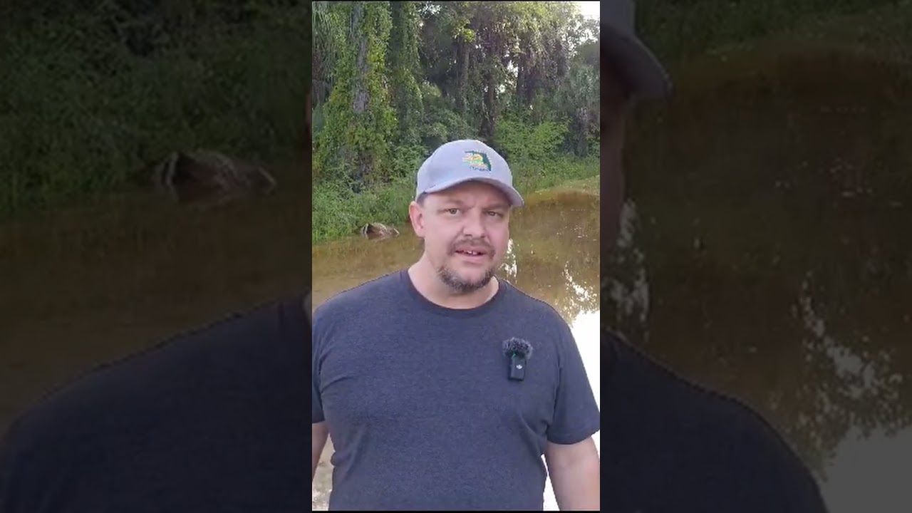 Hurricane Idalia Surge Receding