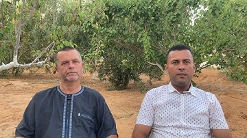 سورة الحجر 2: ربط المعنى