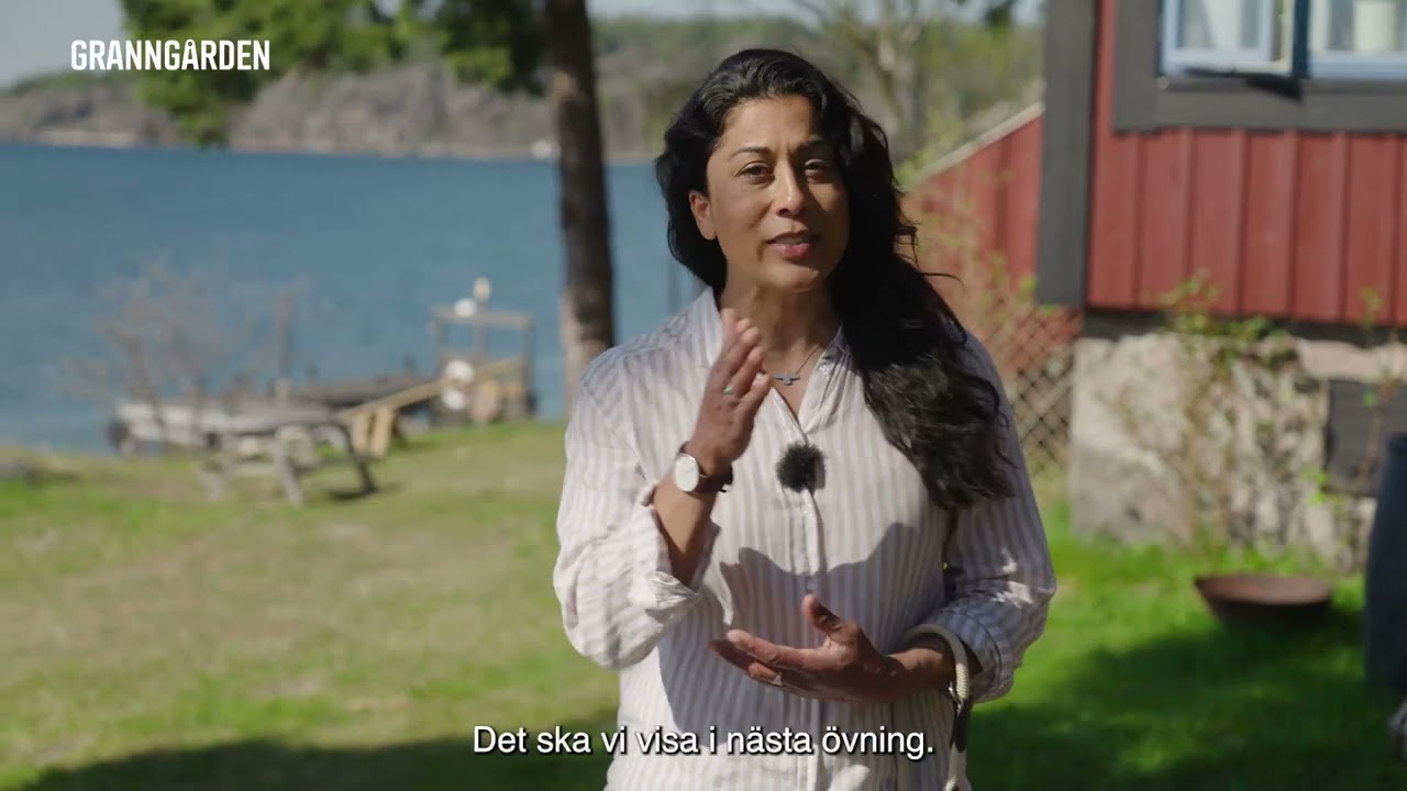 Den ultimata guiden: Så ensamtränar du din hund