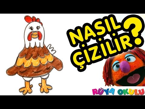 Video: Bir Tavuk Nasıl çizilir
