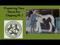 Horse geeks hacks preparing your horse for clipping part 1