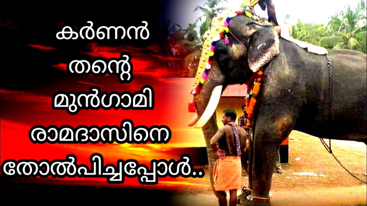 കർണൻ ആദ്യമായി തോല്പിച്ച കൊമ്പൻ || Mangalamkunnu karnan || Chakkumarassery thalapokkam ||