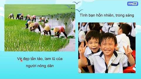 Giảng bài 2  Tự hào tổ quốc Việt Nam   Đạo đức 3 Kết nối tri thức online video cutter com