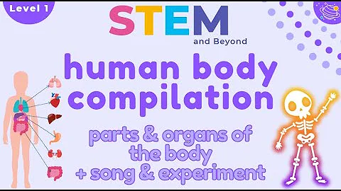 Human Body Compilation | Science For Kids | STEM Home Learning thumbnail
