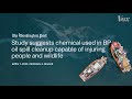 How your split ends can help clean oil spills