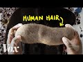 Hair Booms in Oil Spill Cleanup
