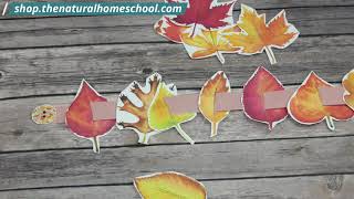 Montessori Fall Printable Bundle ~ 10 Activities