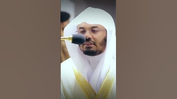 ما تيسر من سورة النجم لفضيلة الشيخ | ياسر الدوسري 🌿