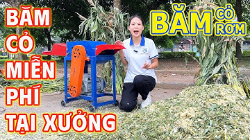 Băm Cỏ, Băm Rơm  - 2 trong 1 - Máy Băm Cỏ 7TA Bình Quân