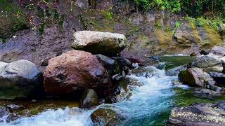 Tranquil Brook Serene for Restful Night, Water Stream Echo for Relax