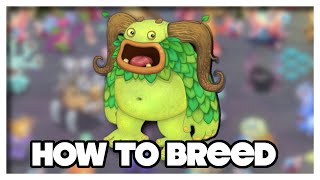 How to Breed Entbrat in My Singing Monsters | MSM Breeding Tutorial