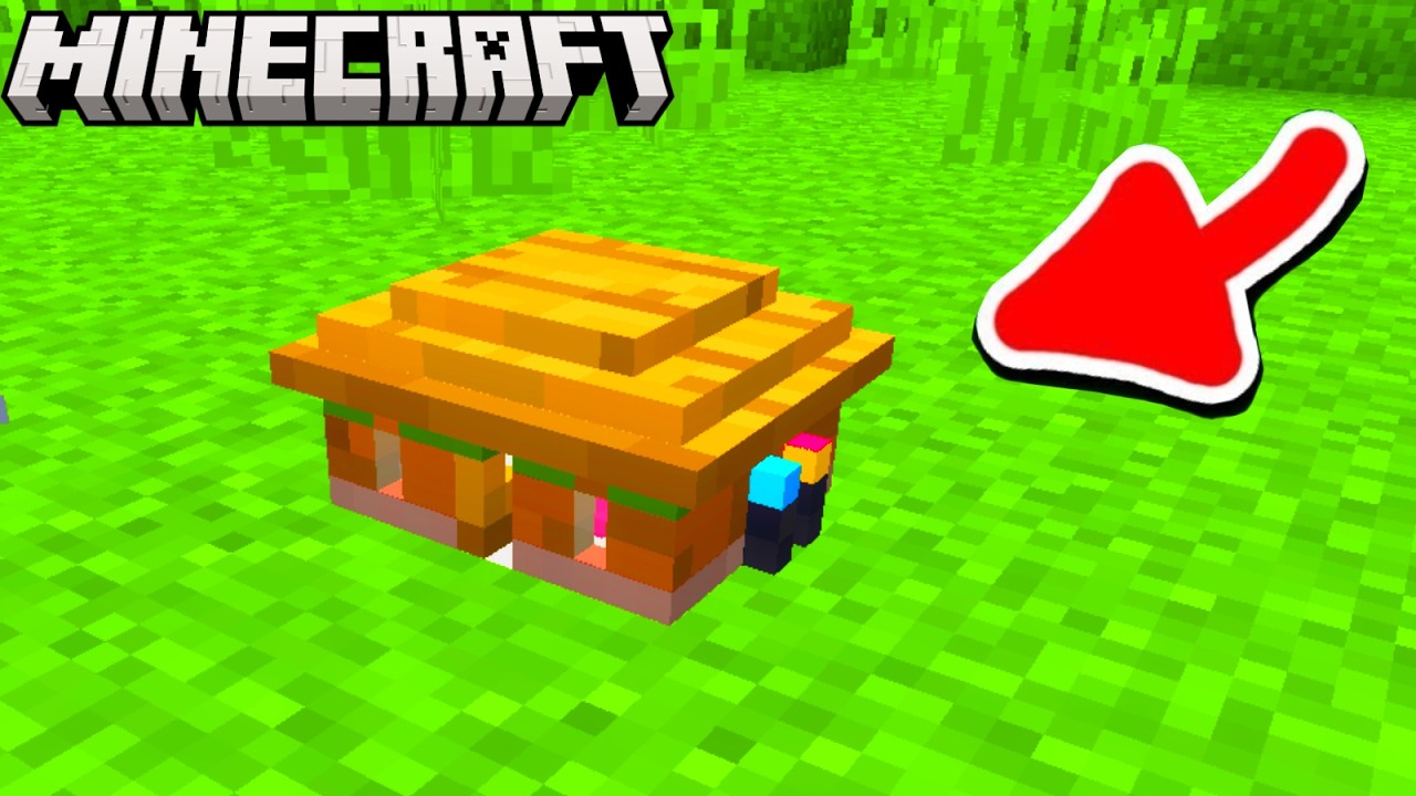 ICH FINDE DAS KLEINSTE HAUS IN MINECRAFT!