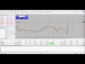Automated Forex EA  Real Time Video