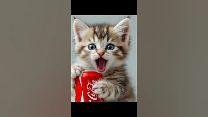 Video 11524801: kitten funny, amazing cat, cute kitten