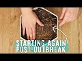 Unboxing & Setting Up Feeder Insect Breeding Colonies 🐞🦗