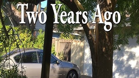 Can I SAVE a SPLITTING TREE?