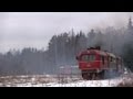 Самый длиный поезд УЖД / Longest train narrow gauge railway
