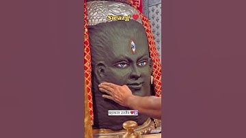 mahakal sarkar status 💫🩷 Mahadev Status 💫💚 Bholenath Status 💫💙#shiv #trending #shorts #Mahakal