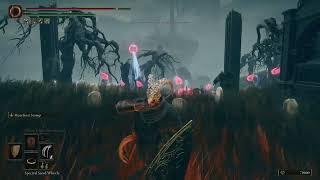 42 Elden Ring Casual Playthrough - No Commentary