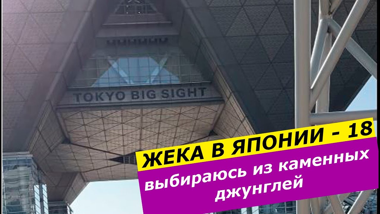 Жека в Японии - 18 | 03 2023 | на волю из каменных джунглей