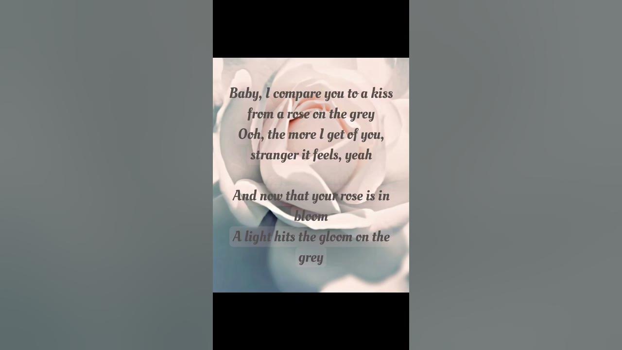 Song: Kiss From a Rose Artist: Seal Album: Seal Genres: Rock, Soul, UK R&B Released: 1994 #lyrics