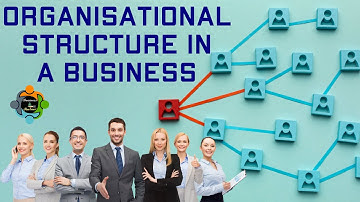 Organizational structure in a business