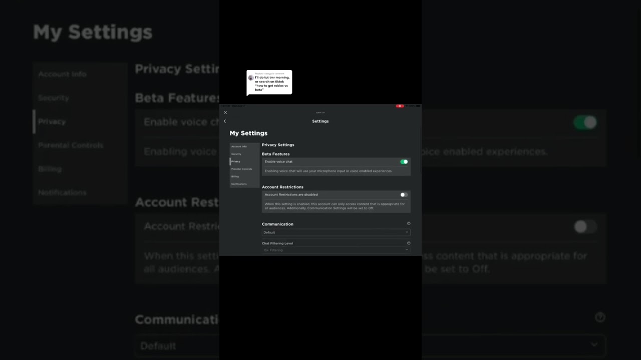 NEW ROBLOX BETA VC???