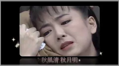刘雪华MV无言的呐喊琼瑶剧哑妻主题曲 大小百合主唱 - 天天要闻