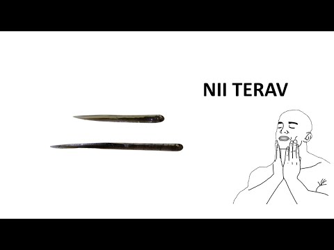 Video: Tuleviku Linnade Ajalugu