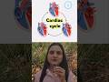 Cardiac Cycle in Human Heart | NCERT Class 11 Biology | Easy Explanation
