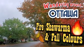👣 Wandering Around Ottawa 🔥 Fire Shawarma 🌯 Fall Colours and Halloween Yards 🎃 by Steve's World of Wanders 83 views 6 months ago 18 minutes