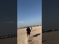 خيالةعراقية خيل وخيال خيل وخياله ماشاءالله اللهم بارك خياله خيالة العراقيه الفارسة