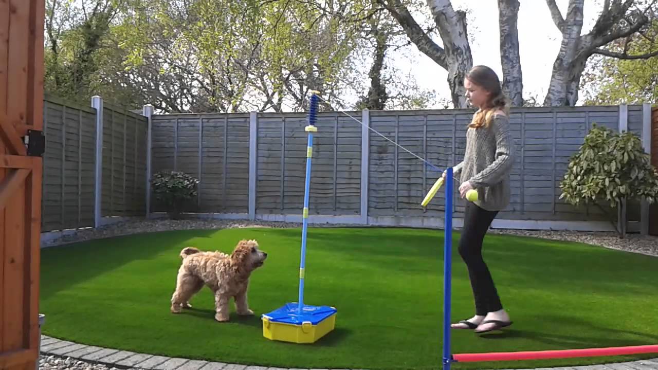 Sling Ball - Cockapoo - YouTube