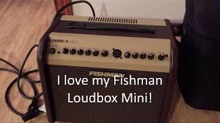 Fishman Loudbox Mini Carrying Bag - soft side cooler screenshot 5