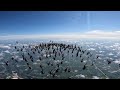 SKYDIVE: 200way Head Down formation - Ejected from the formation