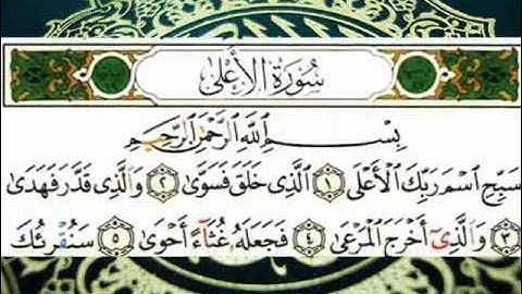 سورة الاعلى (قراءة تعليمية) الشيخ أبي الحسن هشام