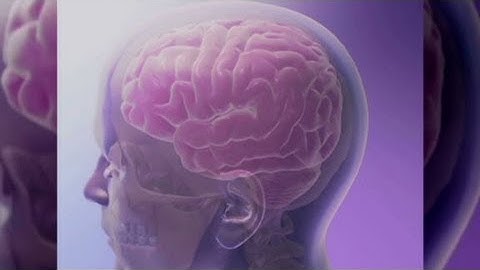 Healthy lifestyle = healthy brain