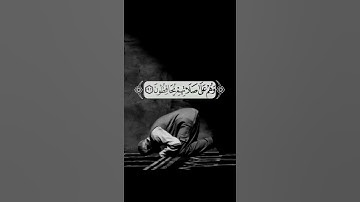 حالات واتس اب قرآن|| القارئ عبدالله الموسى.