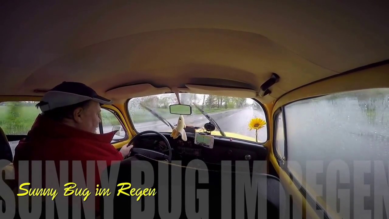 Sunny Bug im Regen