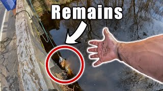 WARNING GRAPHIC: Remains Uncovered While Magnet Fishing-Most Disturbing Magnet Fishing Discover Yet