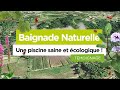 Baignade Naturelle : Une piscine saine et écologique ! (Témoignage)