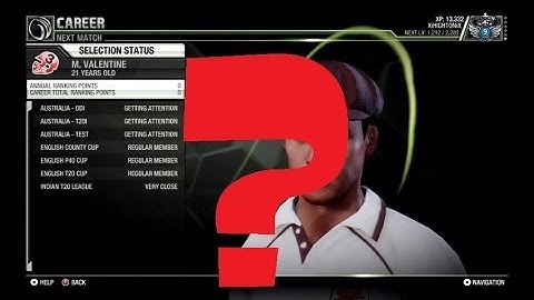 Don Bradman Cricket 14 - How to get attention from an international side from the start